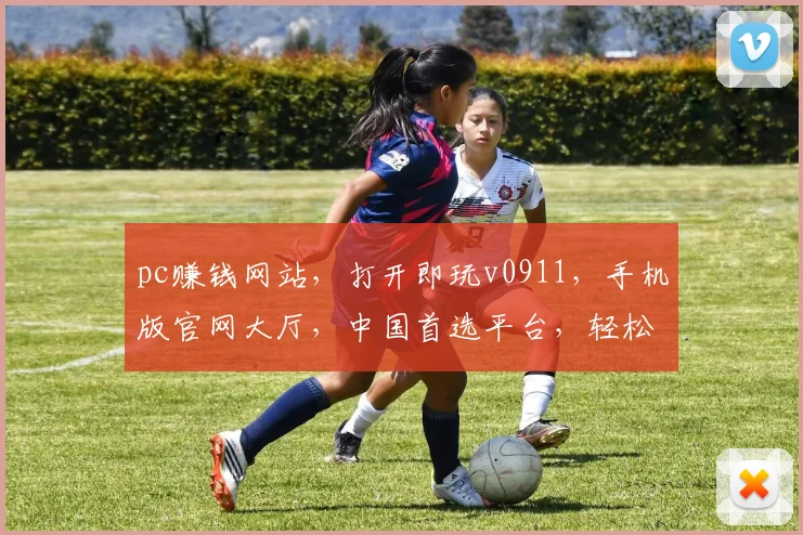 pc赚钱网站，打开即玩v0911，手机版官网大厅，中国首选平台，轻松赚钱